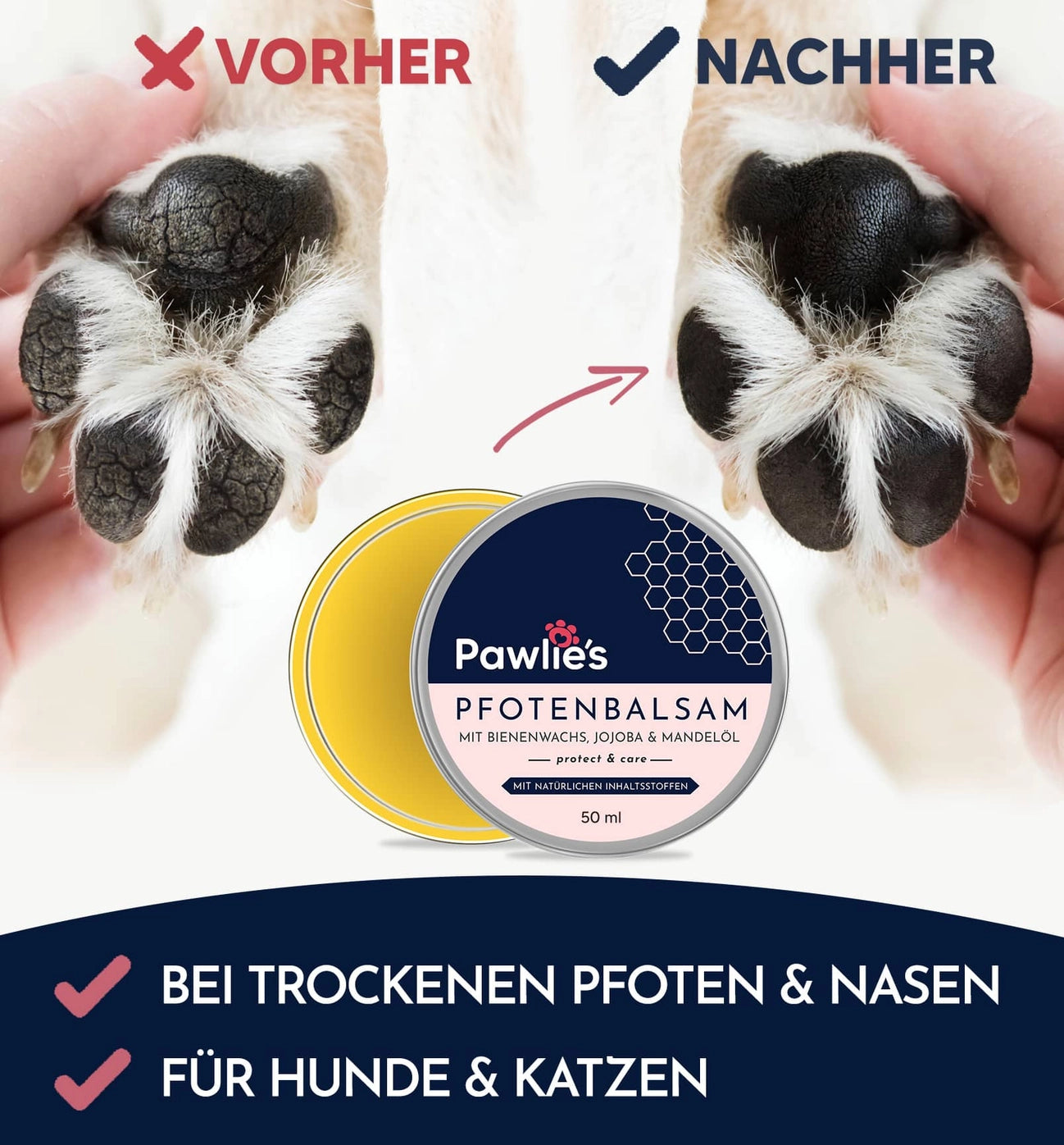 Pfotenbalsam Für Hunde & Katzen - Natürliche Pfotenpflege